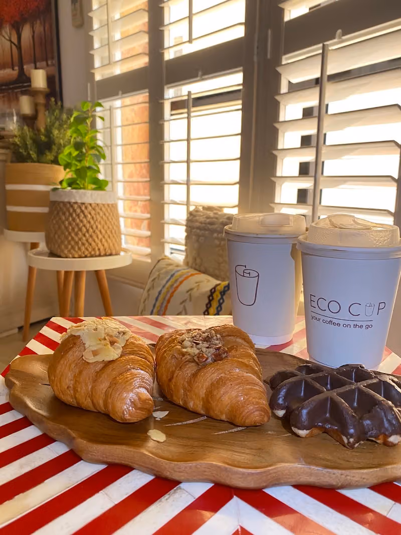 Eco cup ايكو كب