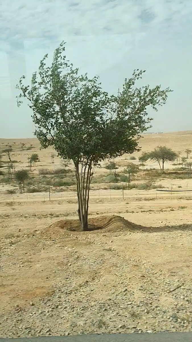 شركة اضافات العالميه للتجارة