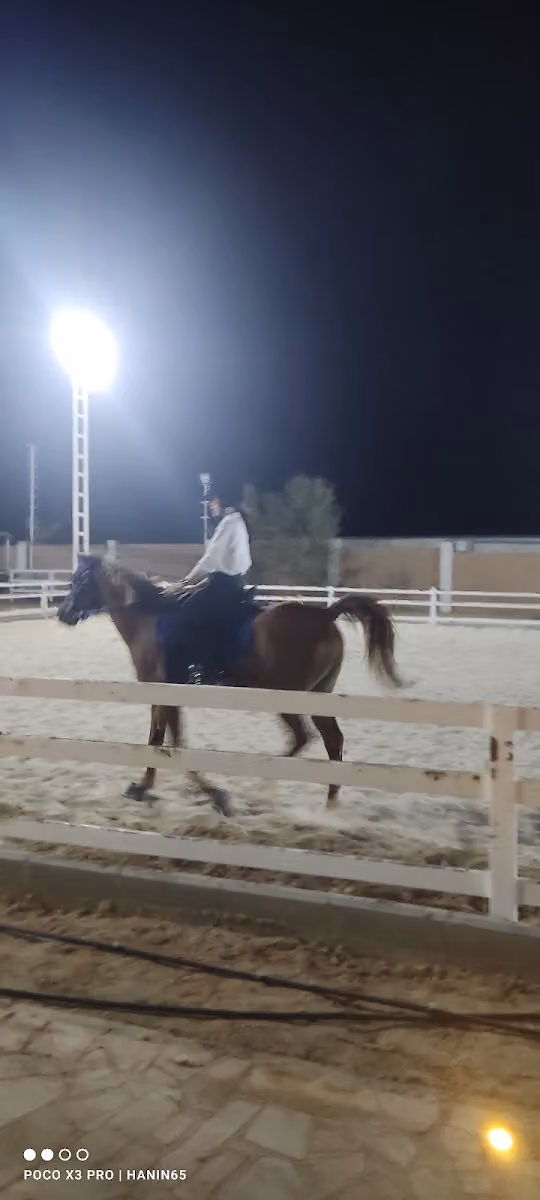 Elite Equine Management Services