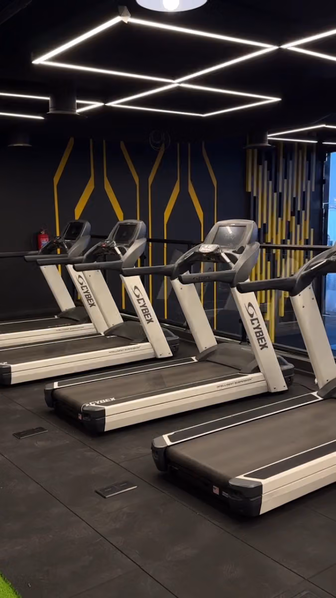 Elite Gym - your body your victory