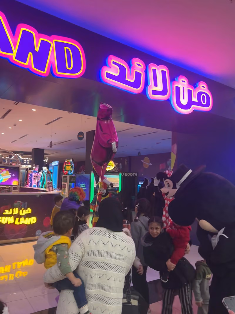 فن لاند