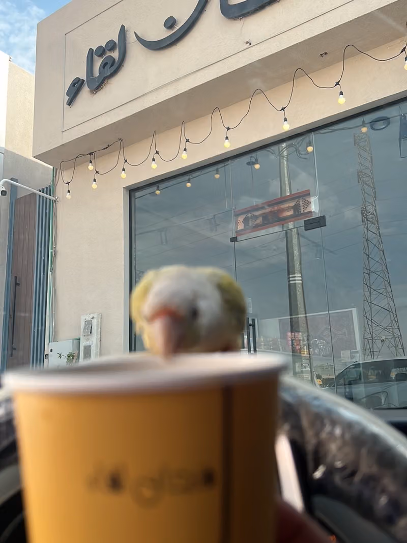 فنجان لقاء