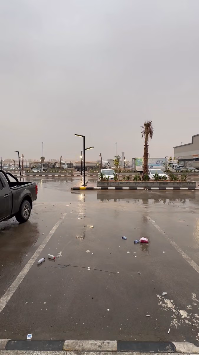 فنون الفروسية