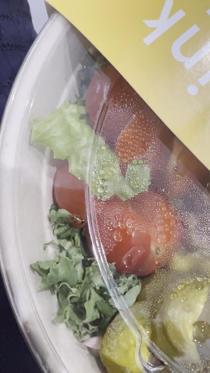 Freshhouse فريش هاوس