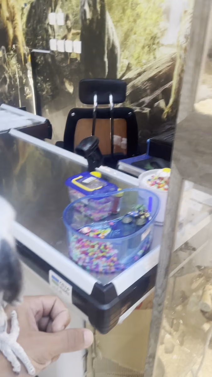 فتى الادغال للحيوانات الاليفه