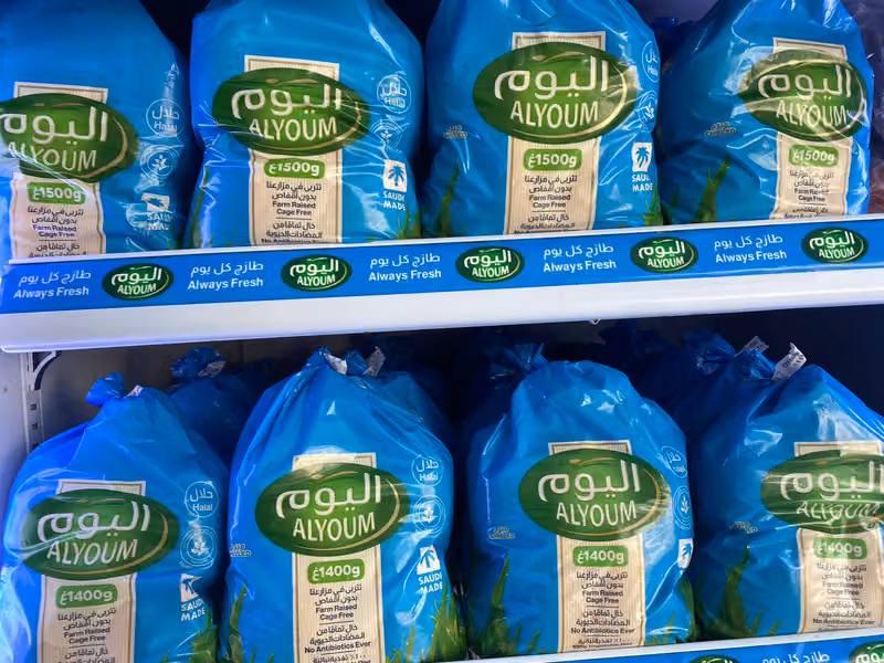 فتر للدواجن فرع 2