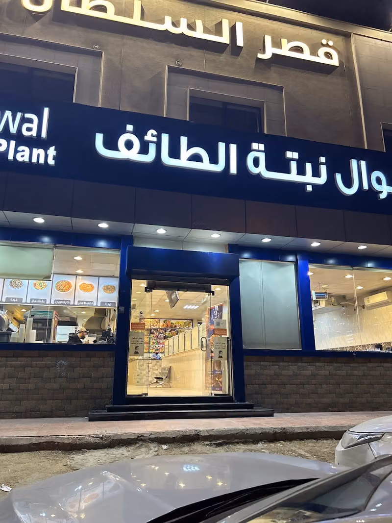 فوال نبتة الطائف