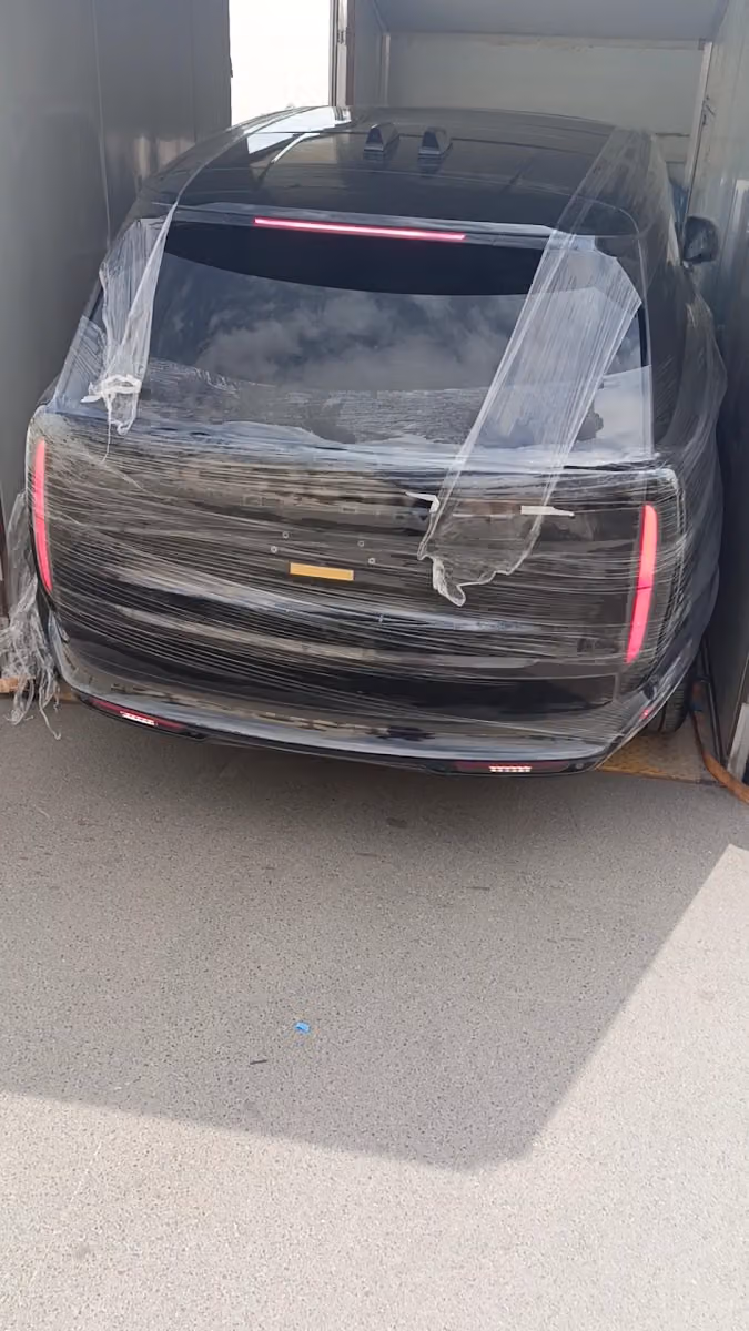 فيبرنيو