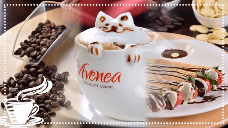 فيفينيا لاونج - vivenea lounge