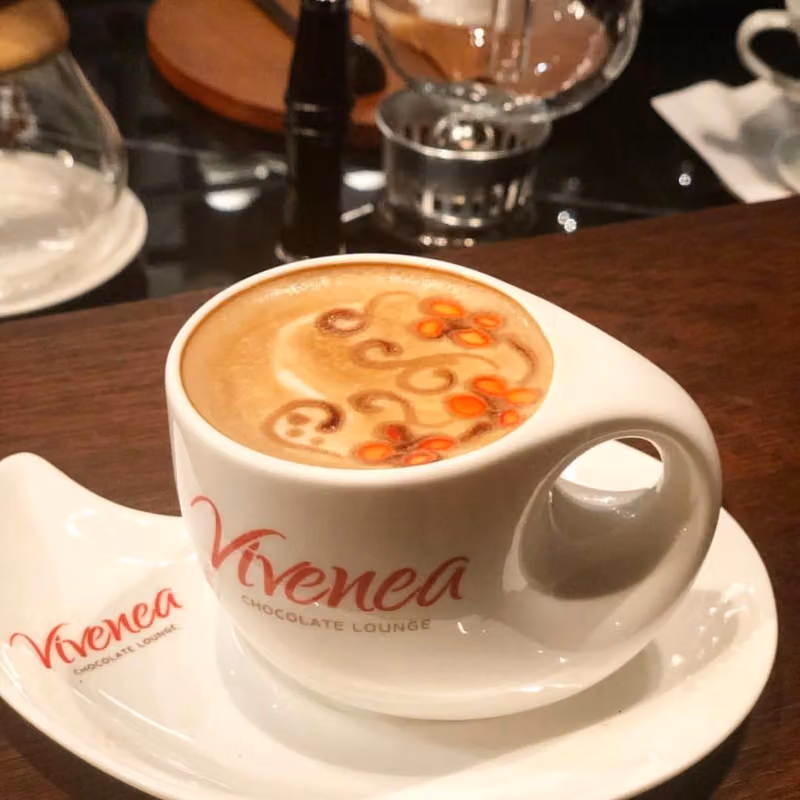 فيفينيا لاونج - vivenea lounge