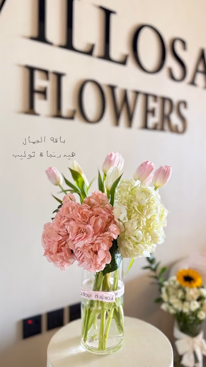 فيلوزا فلاورز | villosa Flowers
