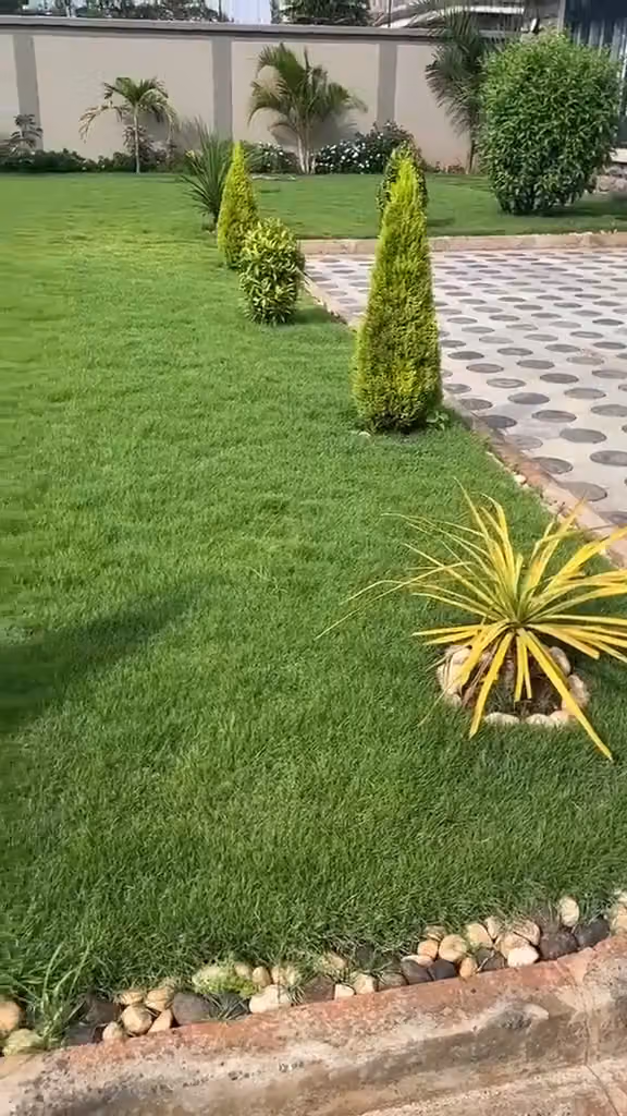 Garden landscaping in Riyadh