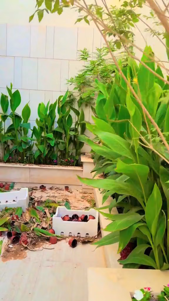Garden landscaping riyadh
