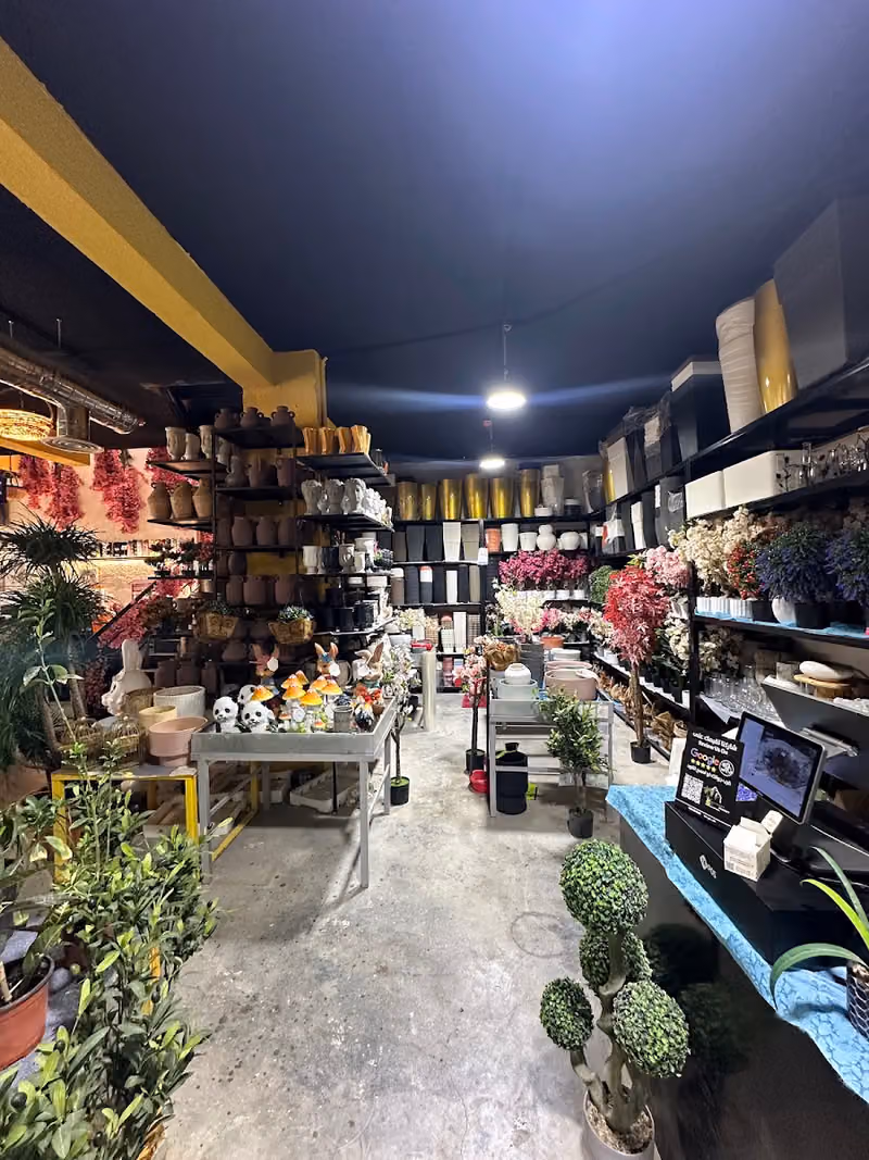 غابات الامازون جاردن سنتر - Amazon Forest Garden Center