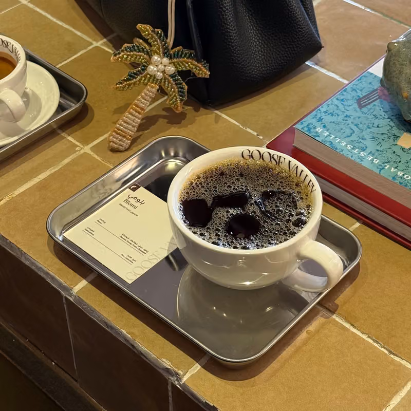 غوس فالي | GOOSE VALLEY