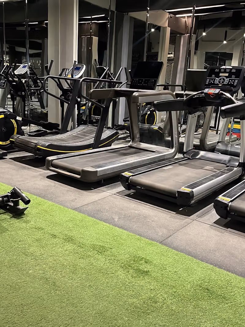 GIANT GYM