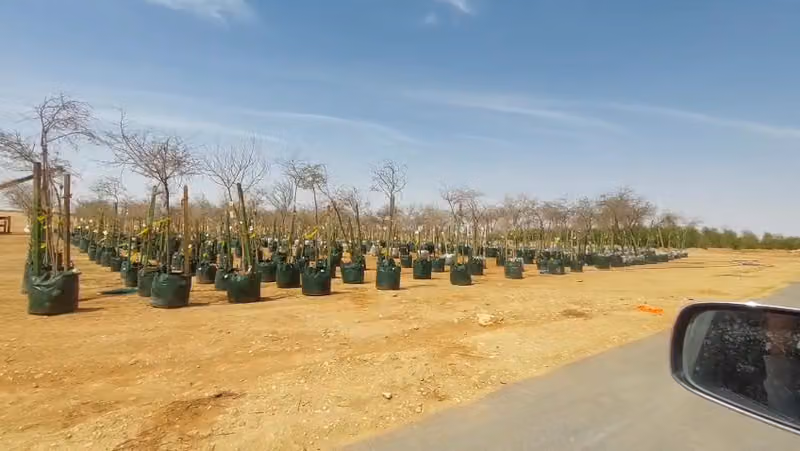 Green Thumb Contracting Company