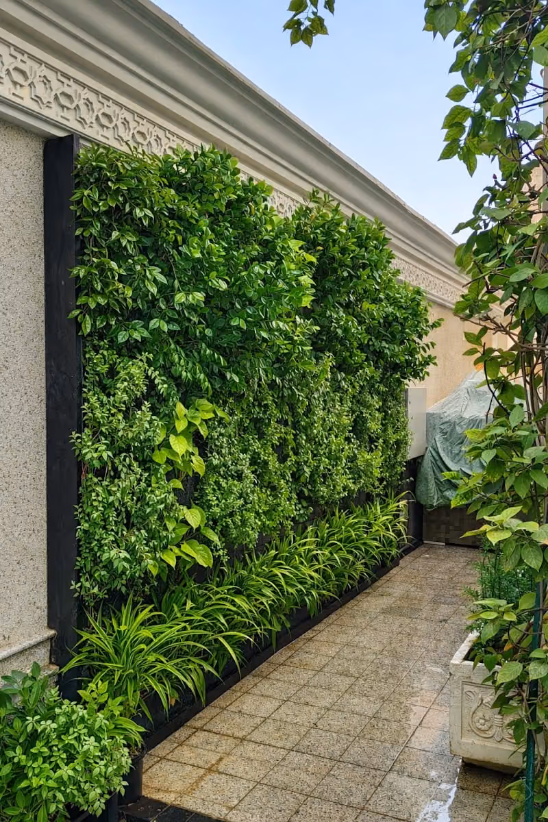 Green Wavs Landscaping Company شركه الامواج الخضراء الزراعيه ( لاندسكيب )