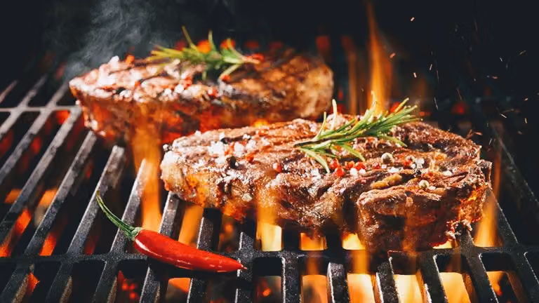 Grilled Burger