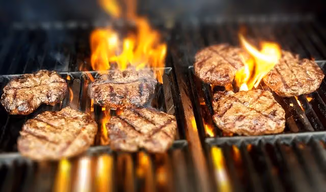 Grilled Burger