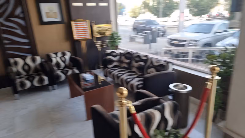 ضيوف المدينة