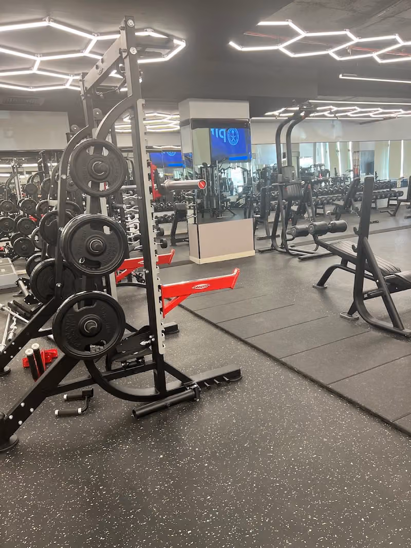GYM650