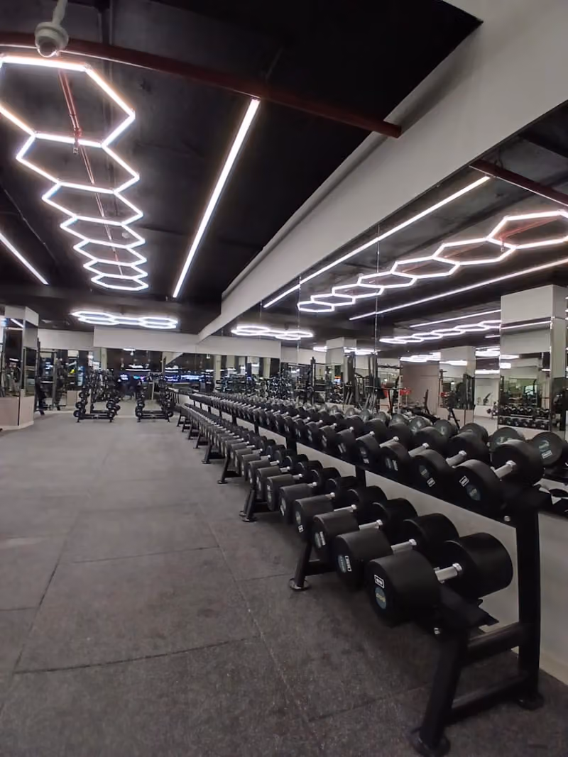 GYM650