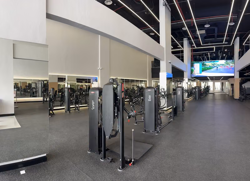 GYM650