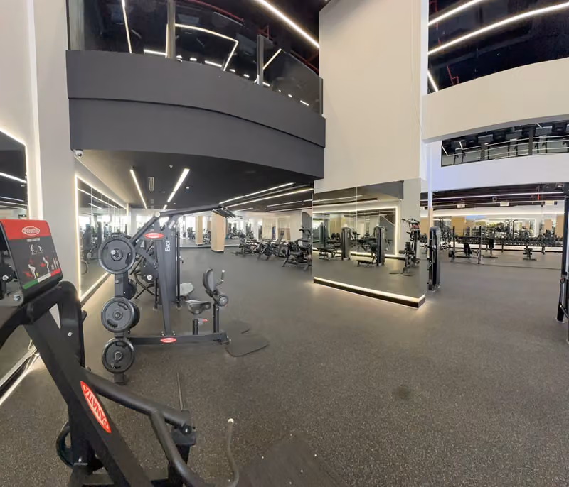 GYM650