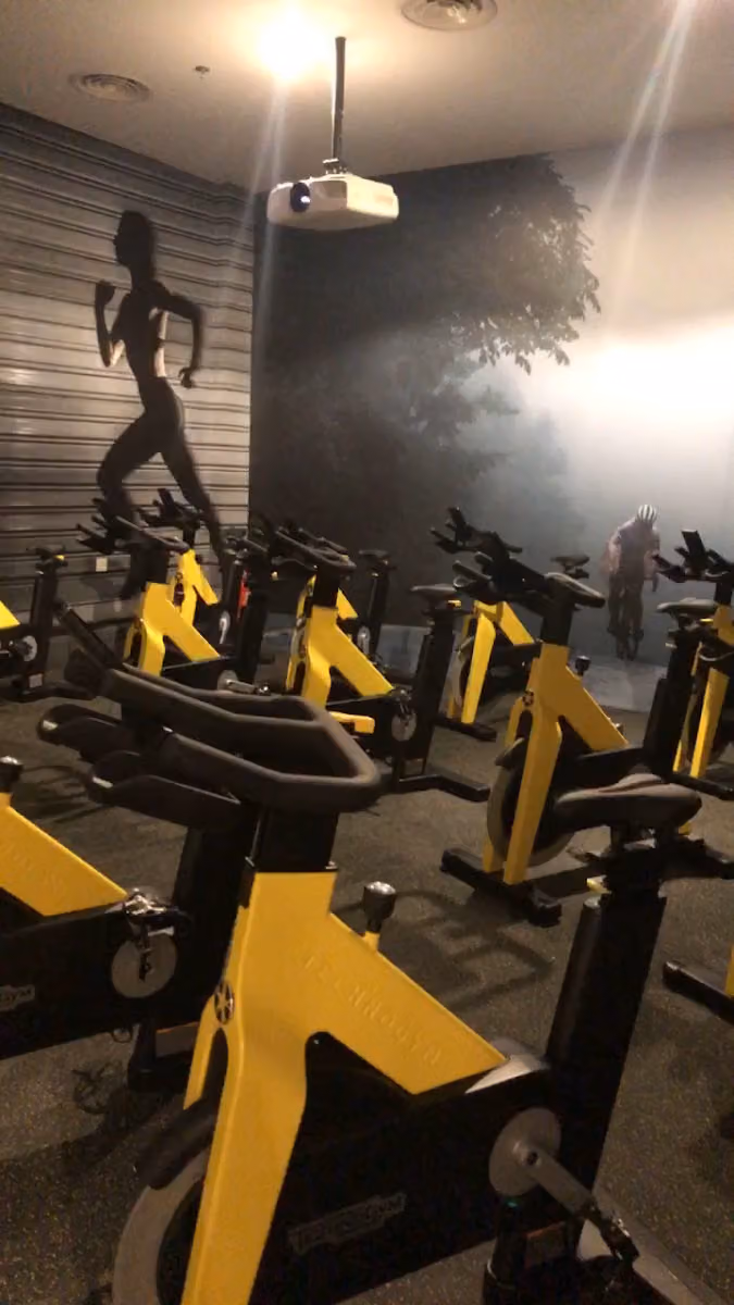 Gyminine جيمنن