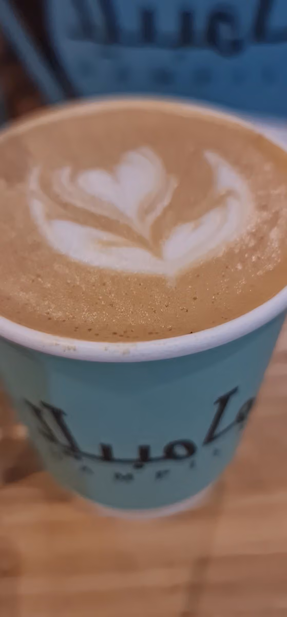 Hampila Cafe كافيه هامبيلا قهوة مختصة .