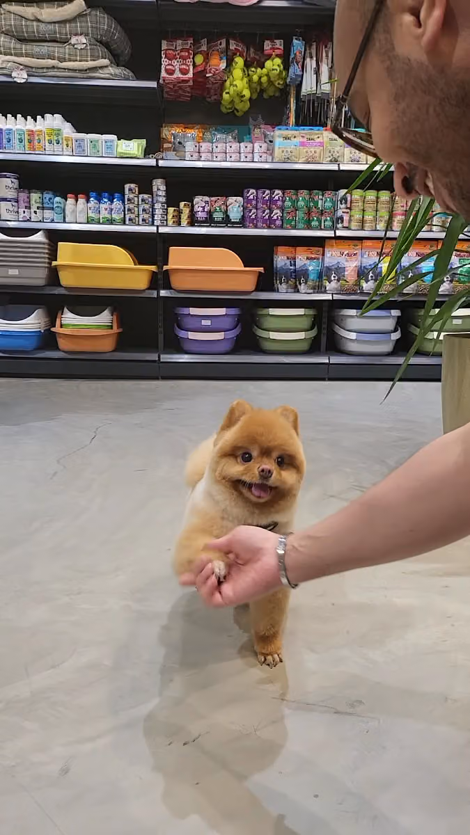 عيادة الحيوانات الأليفة السعيدة Happy Pet vet clinic
