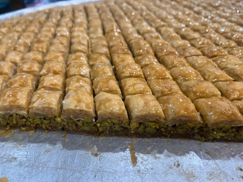 حبيبه
