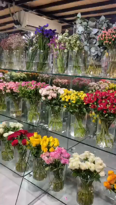 هدايا توق