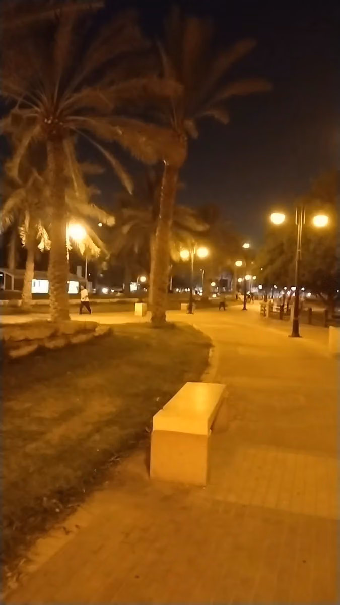 حديقة الناصرية