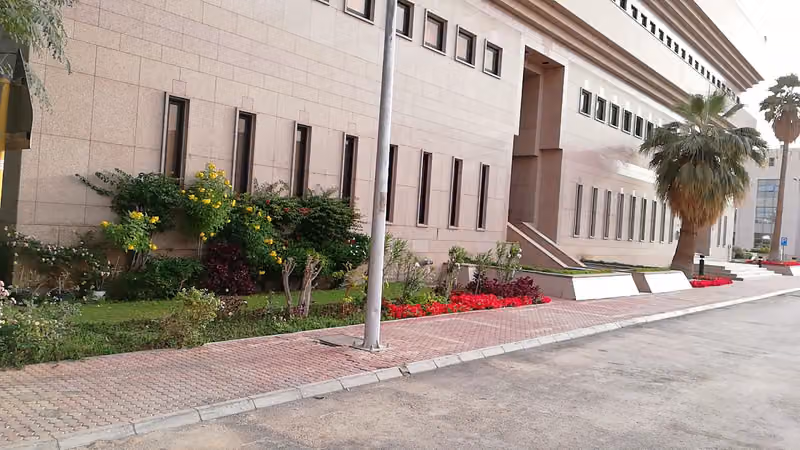 حديقة الصداقة السعودية - الصينية