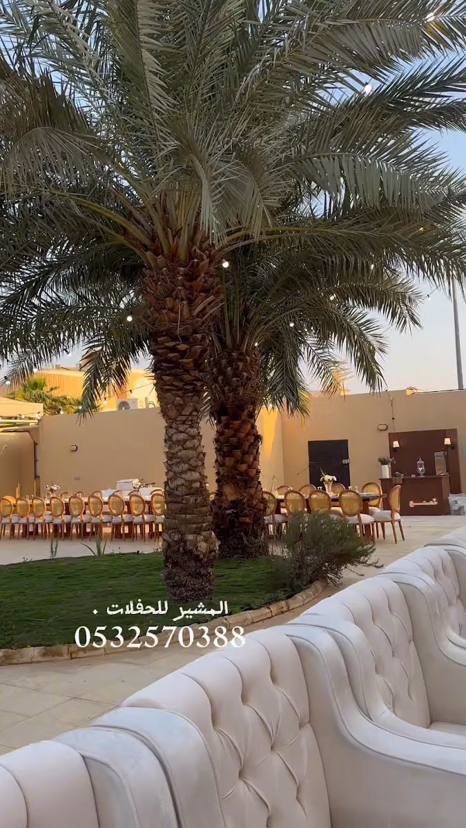 حفلات المشير
