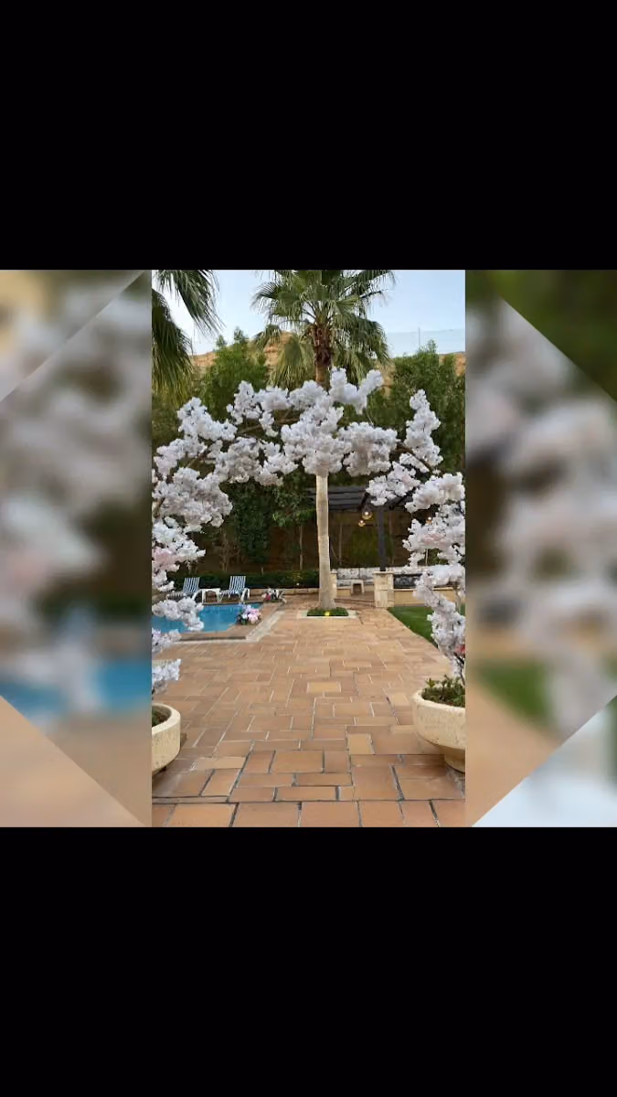 حفلات اوقات السعاده