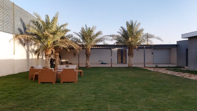 حكاية ونس