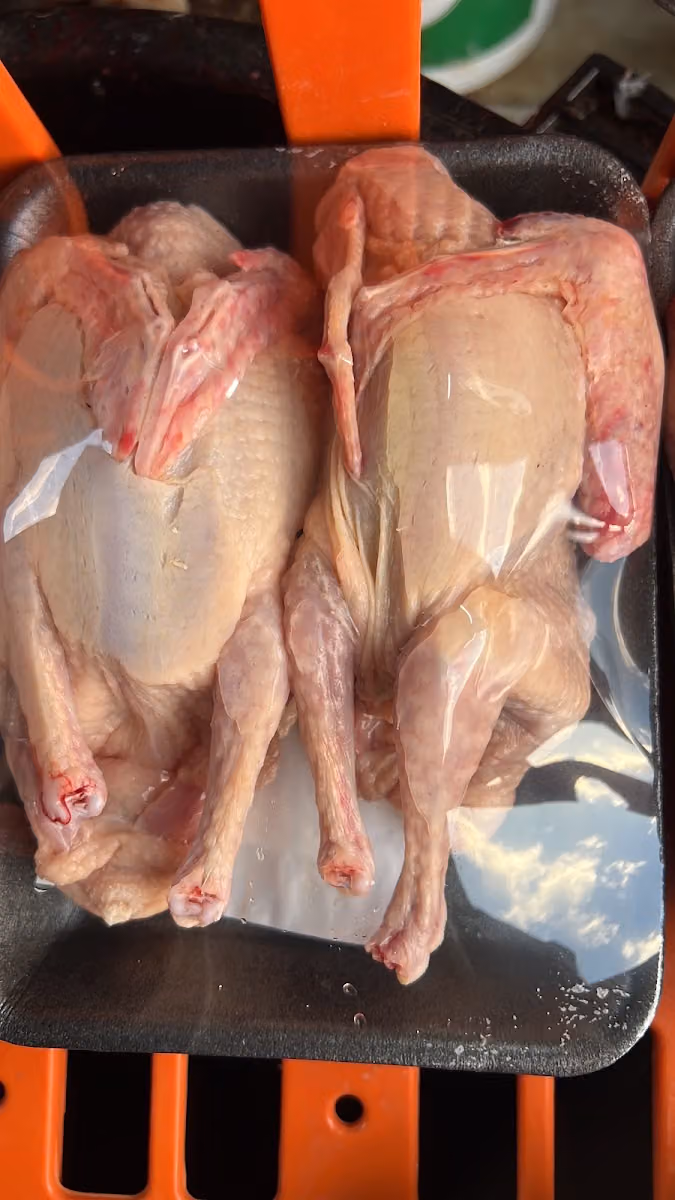 حمام فرنسي 🕊️