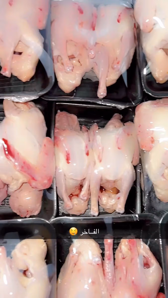 حمام فرنسي 🕊️