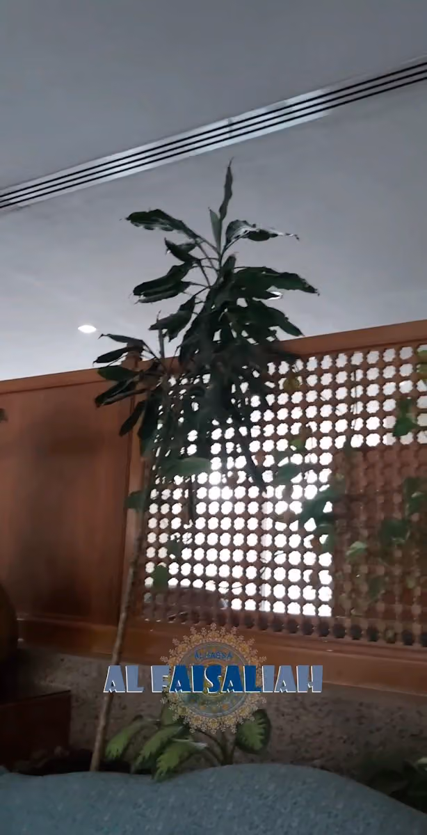 فندق الهفوف