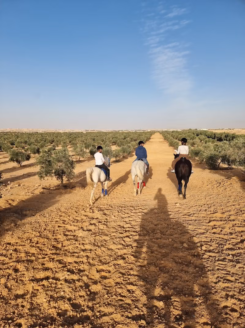 Horse Ranch