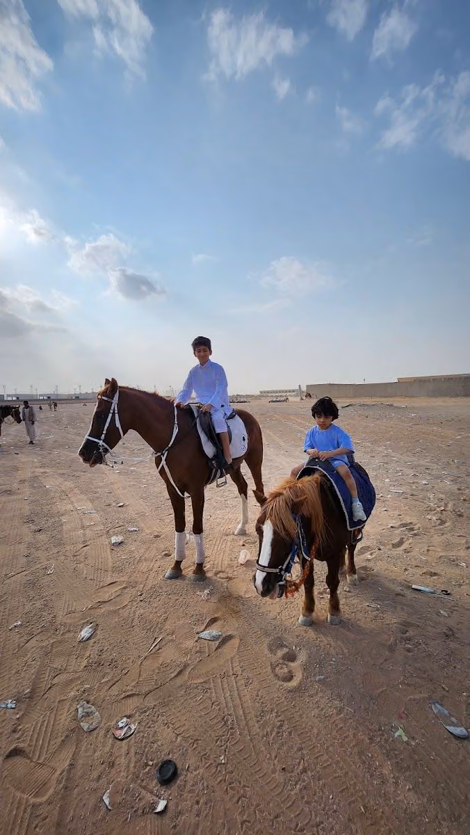 Horse Riding & ATV 1