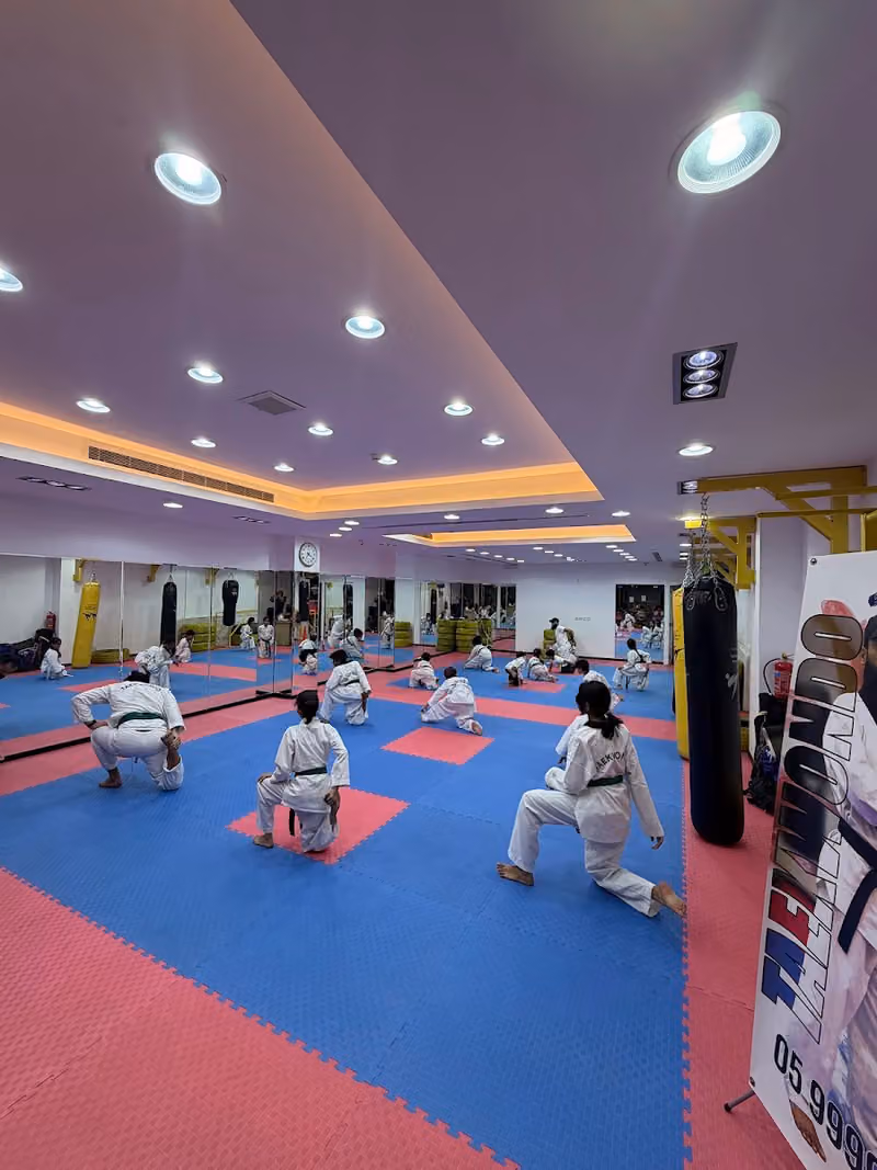 House Of Champions (Taekwondo Martial Arts) club