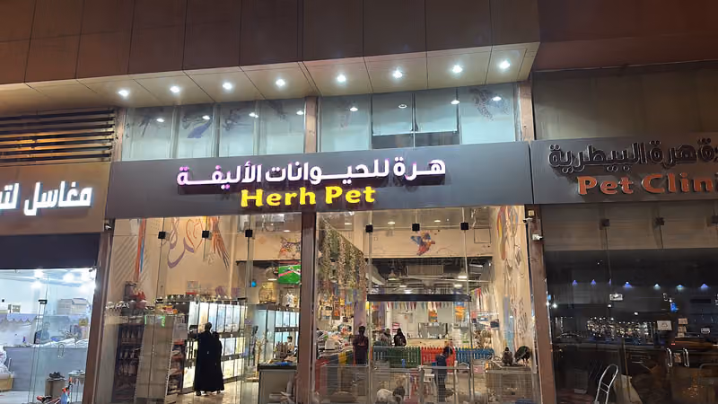 هرة للحيوانات الاليفة