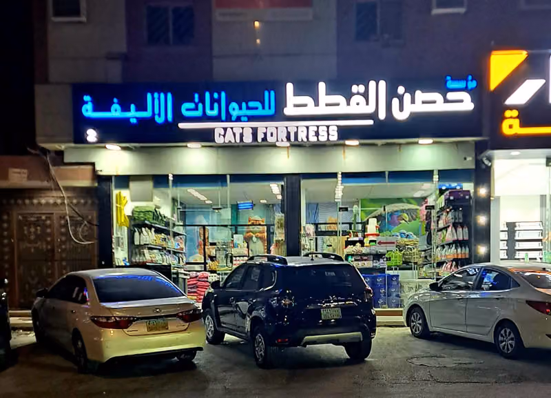 حصن القطط للحيوانات الأليفه