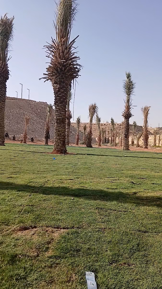 إبداع الحدائق لتنسيق الحدائق وشبكات الري