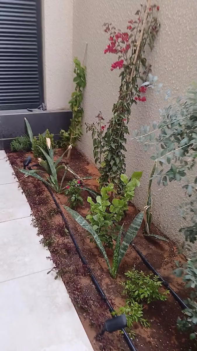 إبداع الحدائق لتنسيق الحدائق وشبكات الري
