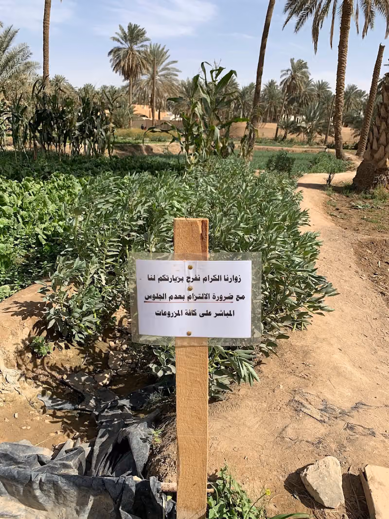 إنسي فارم
